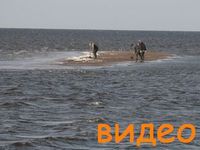 Смотреть видео