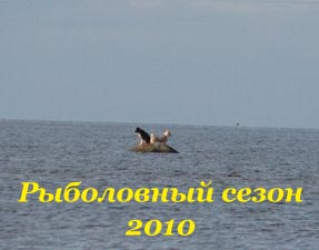 Фото-отчёты рыболовных событий сезона-2010.  Смотреть фото.